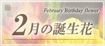 2月の誕生花