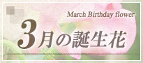 3月の誕生花