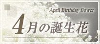 4月の誕生花