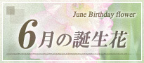 6月の誕生花