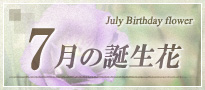 7月の誕生花