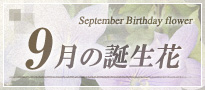 9月の誕生花