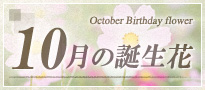 10月の誕生花