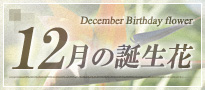 12月の誕生花