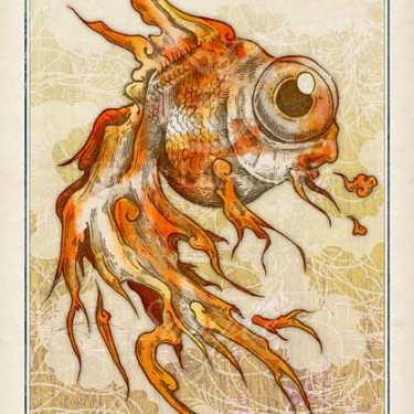 彷徨蛙物語-赤金魚